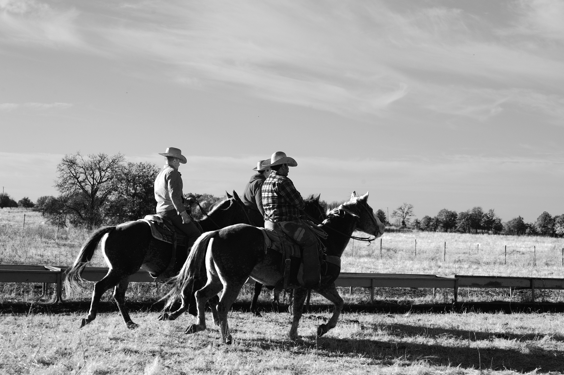 Three cowboys on horseback ride side-by-side across a pasture in black and white, wearing wide-brimmed hats and ranch attire, embodying traditional ranching life.